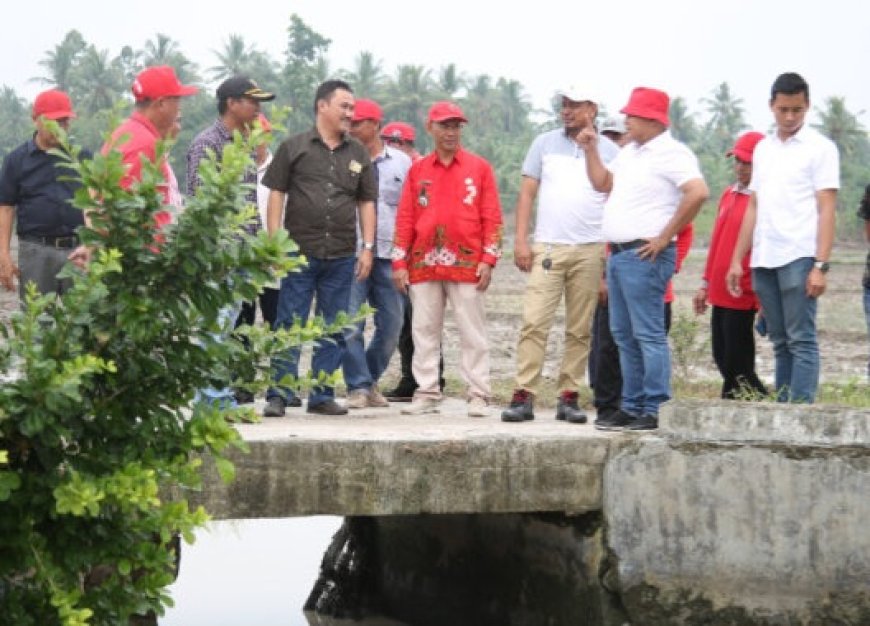 Nanang Tinjau Gorong-gorong Amrol di Kecamatan Sragi