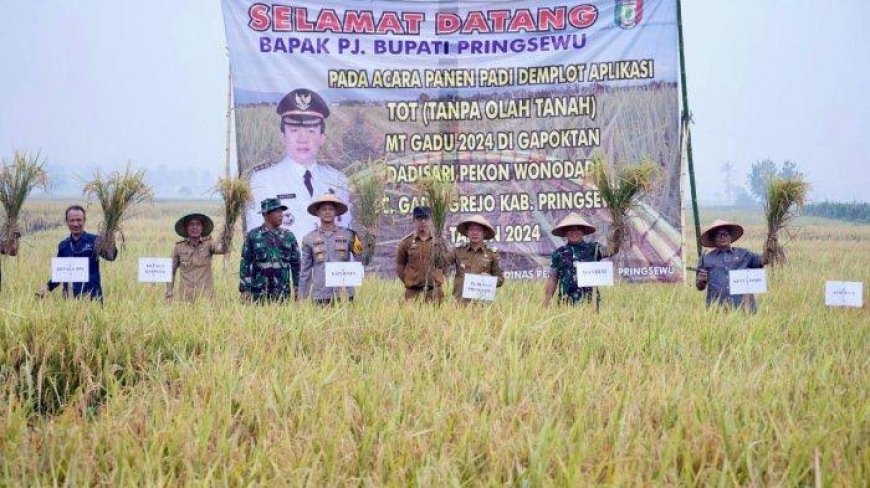 Marindo Panen Perdana Padi dengan Metode TOT di Pekon Wonodadi