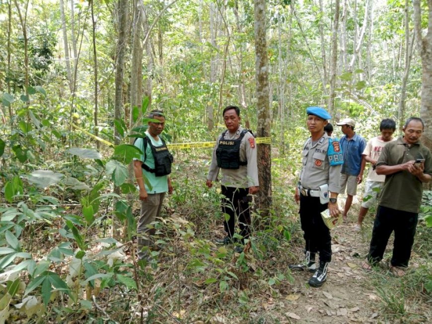 Jumlah Kawanan Gajah Ratusan di Tri Anggun Jaya Musi Rawas, BKSDA Turun Lakukan Pemantauan