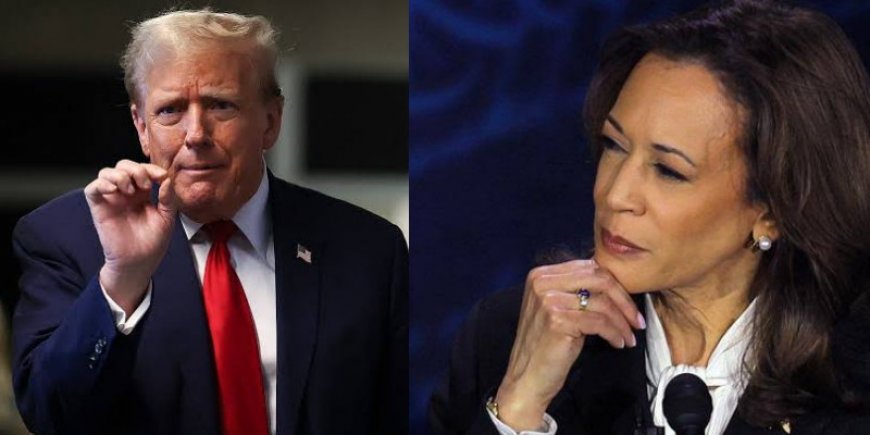 Selalu Unggul di Survei, Harris Belum Tentu Kalahkan Trump di Pilpres AS
