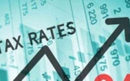 Kenaikan PPN 12 Persen Tindakan Moral Hazard Luar Biasa